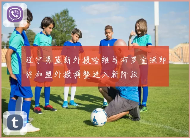辽宁男篮新外援哈维与布罗金顿即将加盟外援调整进入新阶段